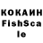 Галлюциногенные грибы Psilocybine cubensis Karwell