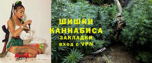 мдпв Новокубанск